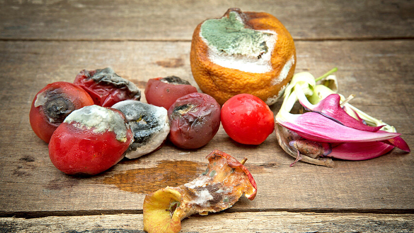 Gıdanın kitabını yazan mühendisten ezber bozan çıkış! 'En büyük hurafe işlenmiş gıdalar'