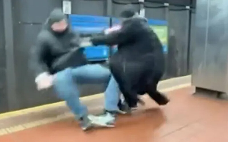 Metroda korkunç olay, bir yumrukla raylara düştü trenin altında kaldı