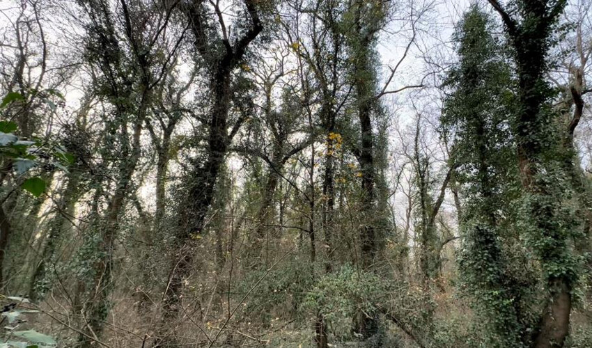 Bilim insanı değilseniz buraya giremezsiniz