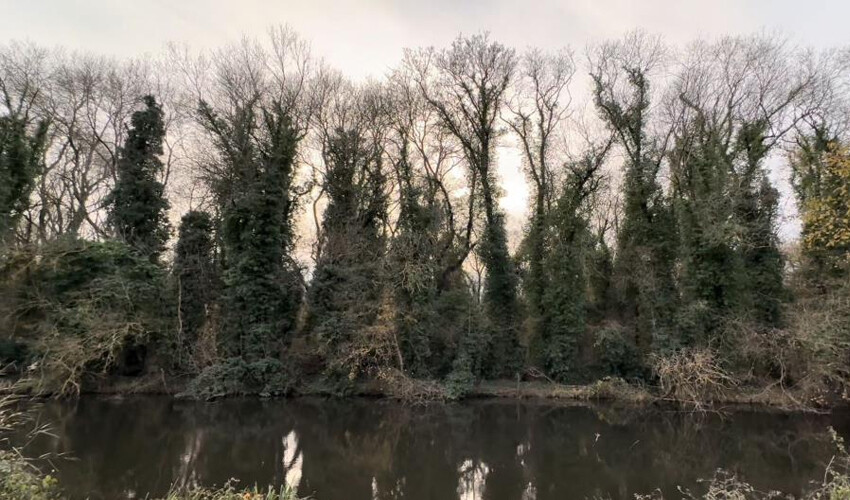 Bilim insanı değilseniz buraya giremezsiniz