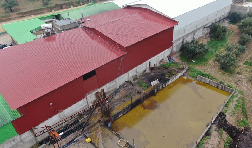 Fabrika patladı, 50 ton zeytinyağı araziye aktı!