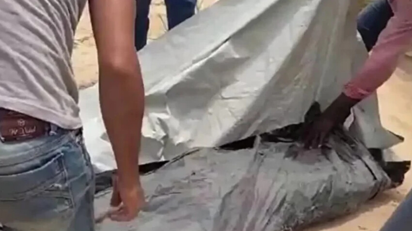 Vahşi piranalarla dolu nehre düşen Amerikalı turistin cesedi yenmiş halde bulundu