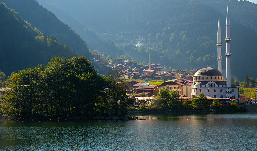 türkiye IQ haritası