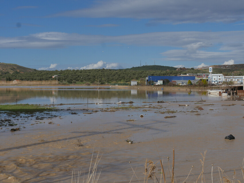 Şiddetli sağanakta ağır bilanço! Dereler taştı, yollar göle döndü, köprüler yıkıldı, okullar tatil edildi