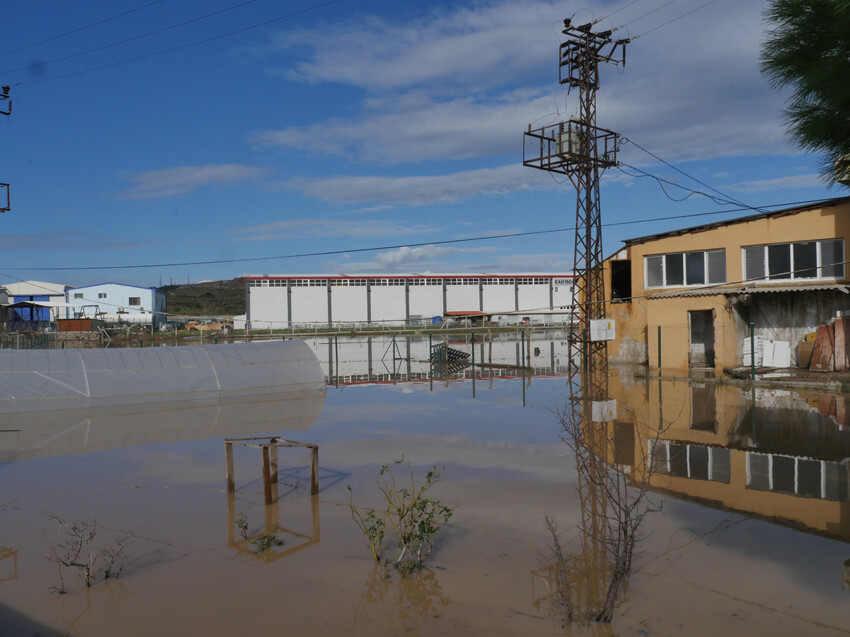 Şiddetli sağanakta ağır bilanço! Dereler taştı, yollar göle döndü, köprüler yıkıldı, okullar tatil edildi