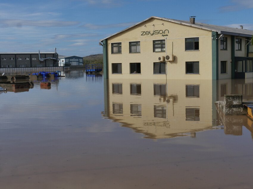 Şiddetli sağanakta ağır bilanço! Dereler taştı, yollar göle döndü, köprüler yıkıldı, okullar tatil edildi