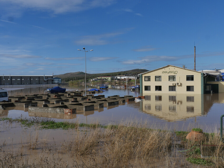 Şiddetli sağanakta ağır bilanço! Dereler taştı, yollar göle döndü, köprüler yıkıldı, okullar tatil edildi