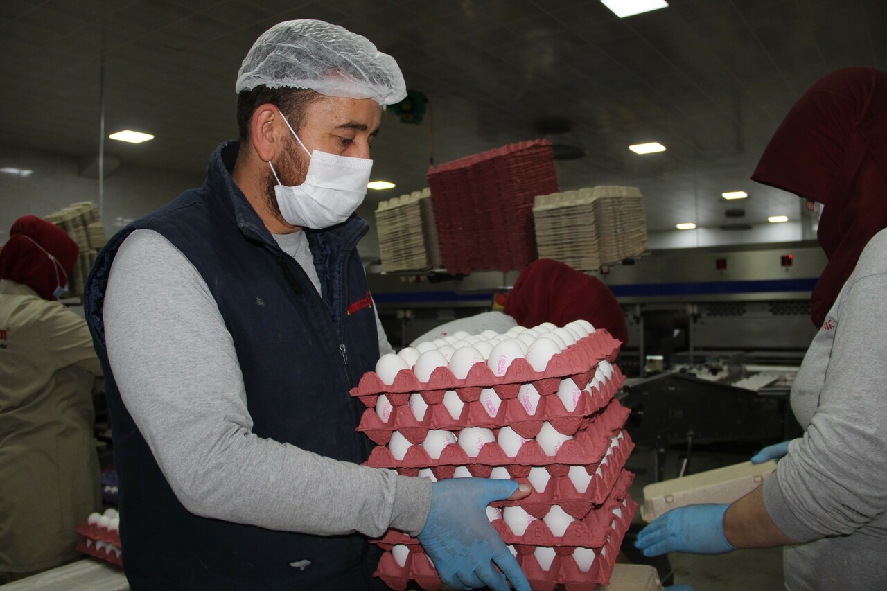 Yumurtacılar isyan bayrağını çekti! "Fiyatları biz değil, onlar yükseltiyor"