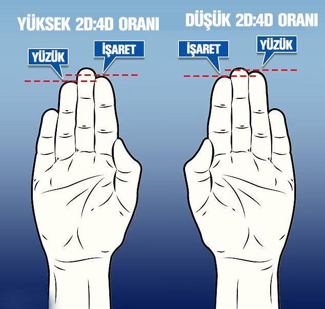 Hemen elinize bakın… Parmaklarınız ‘psikopatlık’ eğiliminizi ele veriyor