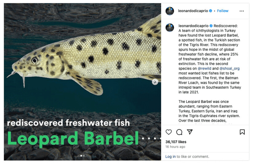 Leonardo DiCaprio'dan dikkat çeken 'Türkiye' paylaşımı! 'Hâlâ var olduğunu hissetmek ve keşfetmek harika'