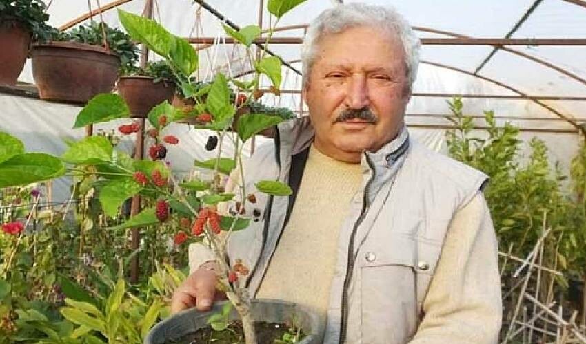 Toprak gördüğü gibi meyve veriyor! Yunus Amca saksılara ekip satıyor, parasını duyan o ile koşuyor