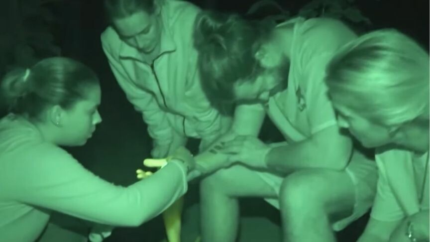 Survivor'da dün kim elendi? Survivor All Star 2024  ödül oyununu kim kazandı? || 18 Ocak 2024 Survivor bölümü