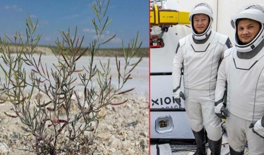 Türkiye’nin ilk astronotu Alper Gezeravcı’nın uzaya götürdüğü şeyi görünce şaşırıp kalacaksınız!