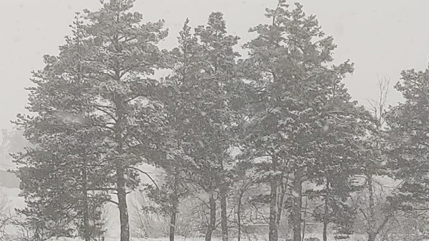 Her yer beyaza büründü, durmadan kar yağıyor! Hava sıcaklıkları mevsim normallerinin üstüne çıktı