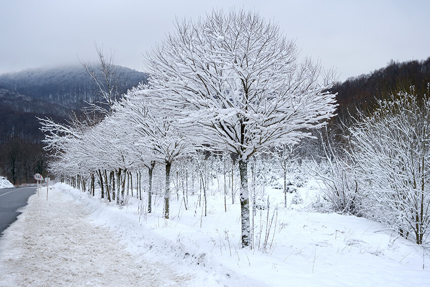 Her yer beyaza büründü, durmadan kar yağıyor! Hava sıcaklıkları mevsim normallerinin üstüne çıktı