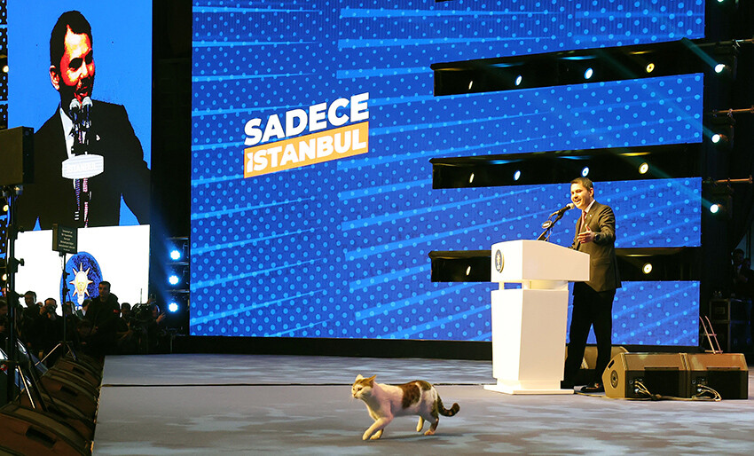 Erdoğan'dan İstanbul mesajı: Şahlanış başlıyor