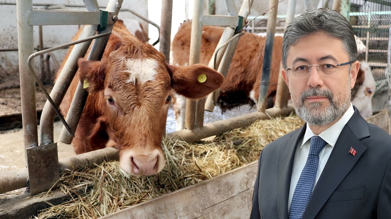 Bakanlık fahiş et fiyatları için harekete geçti! Hayvan ithalatını artık devlet yapacak