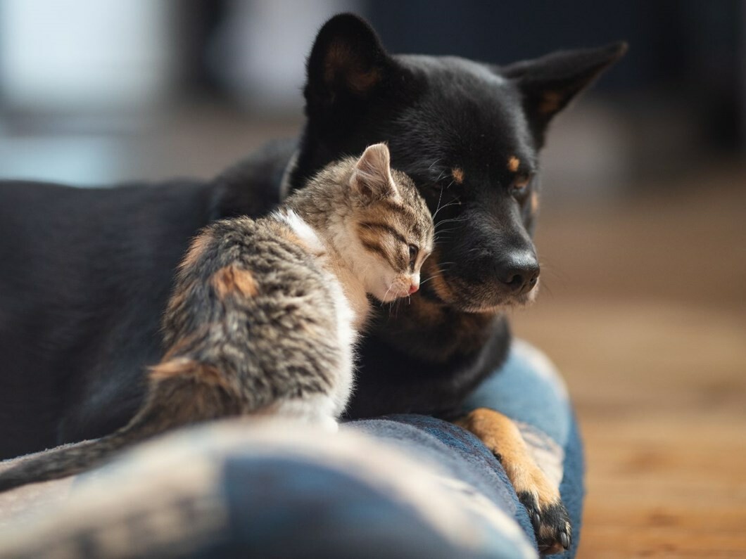 AK Parti'nin seçim vaadiydi! İstanbul ve Ankara'da oturan memurlara bir zam müjdesi daha