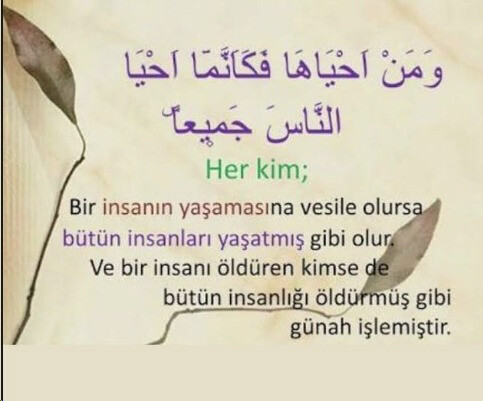 Ece Erken'den eşinin katillerine verilen ceza sonrası manidar paylaşımlar