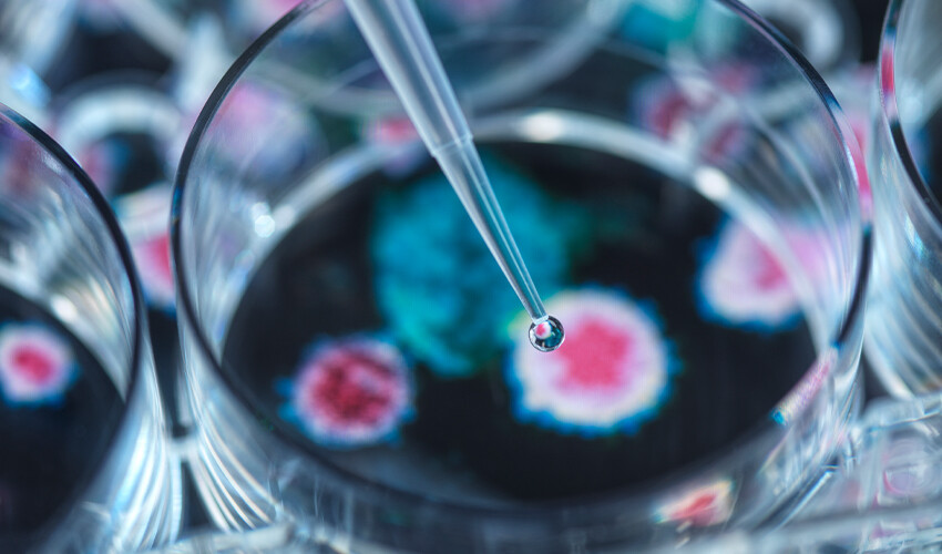 Buzullarda saklı ‘zombi virüsü’ yeniden canlanıyor! Yeni bir salgını tetikleyebilir Buzullarda saklı ‘zombi virüsü’ yeniden canlanıyor! Yeni bir salgını tetikleyebilir