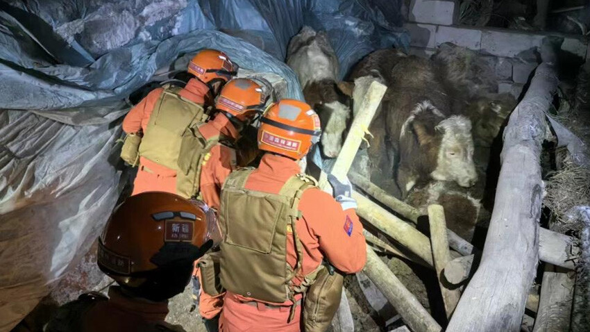 Kırgızistan-Çin sınırında 7.1 şiddetindeki depremde ölü ve yaralı sayısı netleşiyor