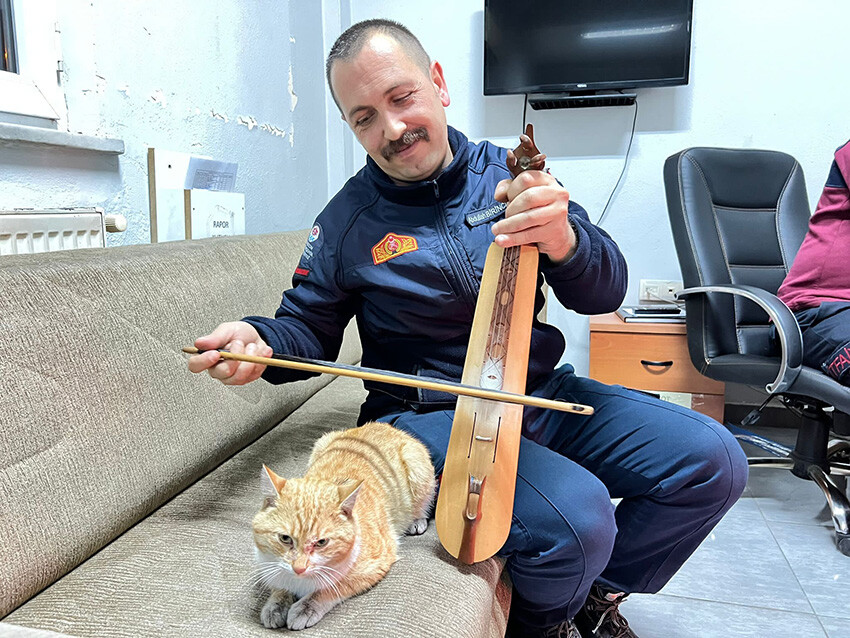 Kurtardığı kediye kemençe çalıp türkü söylüyor