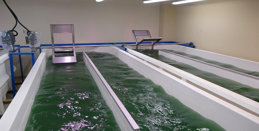 Türk bilim insanları üretiyor! 100 gramı 1.500 lira Türk bilim insanları üretiyor! 100 gramı 1.500 lira