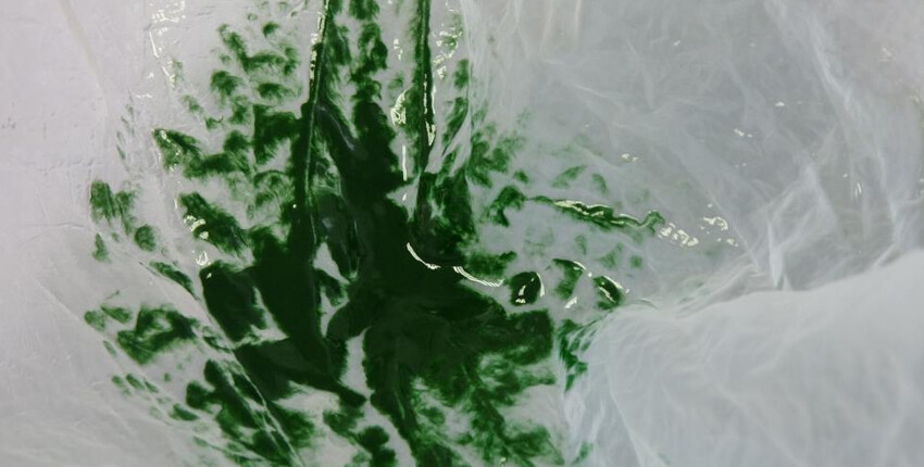 Türk bilim insanları üretiyor! 100 gramı 1.500 lira Türk bilim insanları üretiyor! 100 gramı 1.500 lira