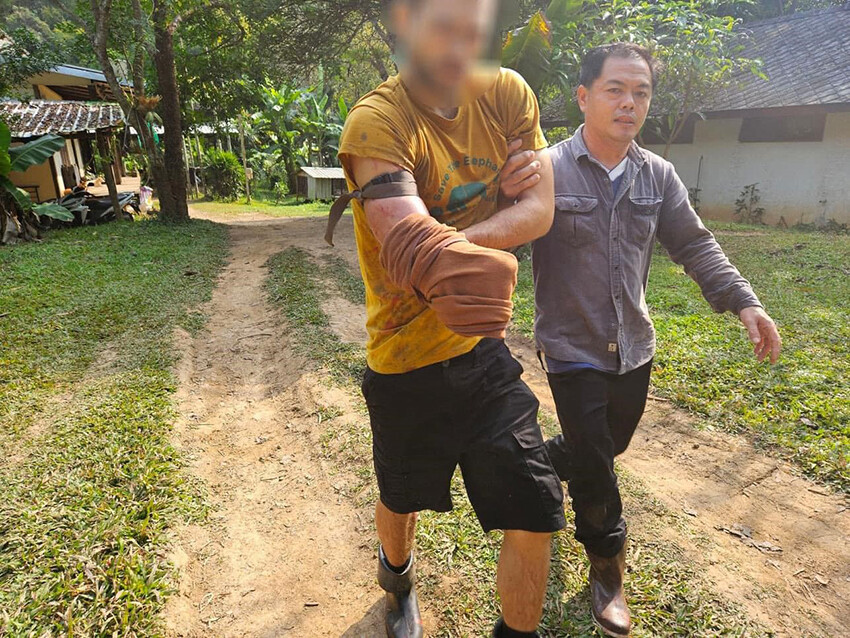 Ayı saldırısından kurtulmak için bulduğu çözüm tüyleri diken diken etti