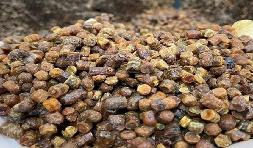 Çocukların bağışıklığını zırh gibi koruyor! Yoğurt ile karıştırıldığında etkisi inanılmaz Çocukların bağışıklığını zırh gibi koruyor! Yoğurt ile karıştırıldığında etkisi inanılmaz