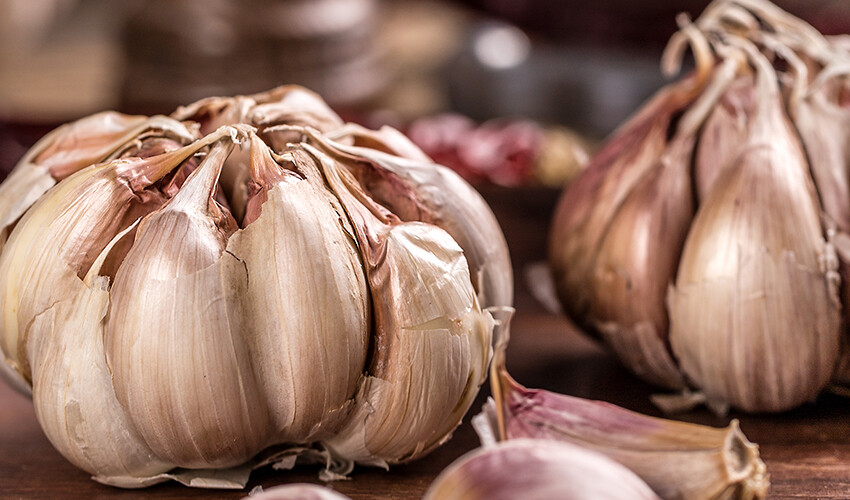 Uzmanı üstüne basa basa uyardı! Bu yiyecekleri buzdolabına koyduğunuzda zehre dönüşüyor