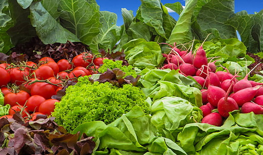 Yiyenlere kalp krizi uğramıyor! Günde 40 gram tüketmek bile ömrü uzatıyor Yiyenlere kalp krizi uğramıyor! Günde 40 gram tüketmek bile ömrü uzatıyor