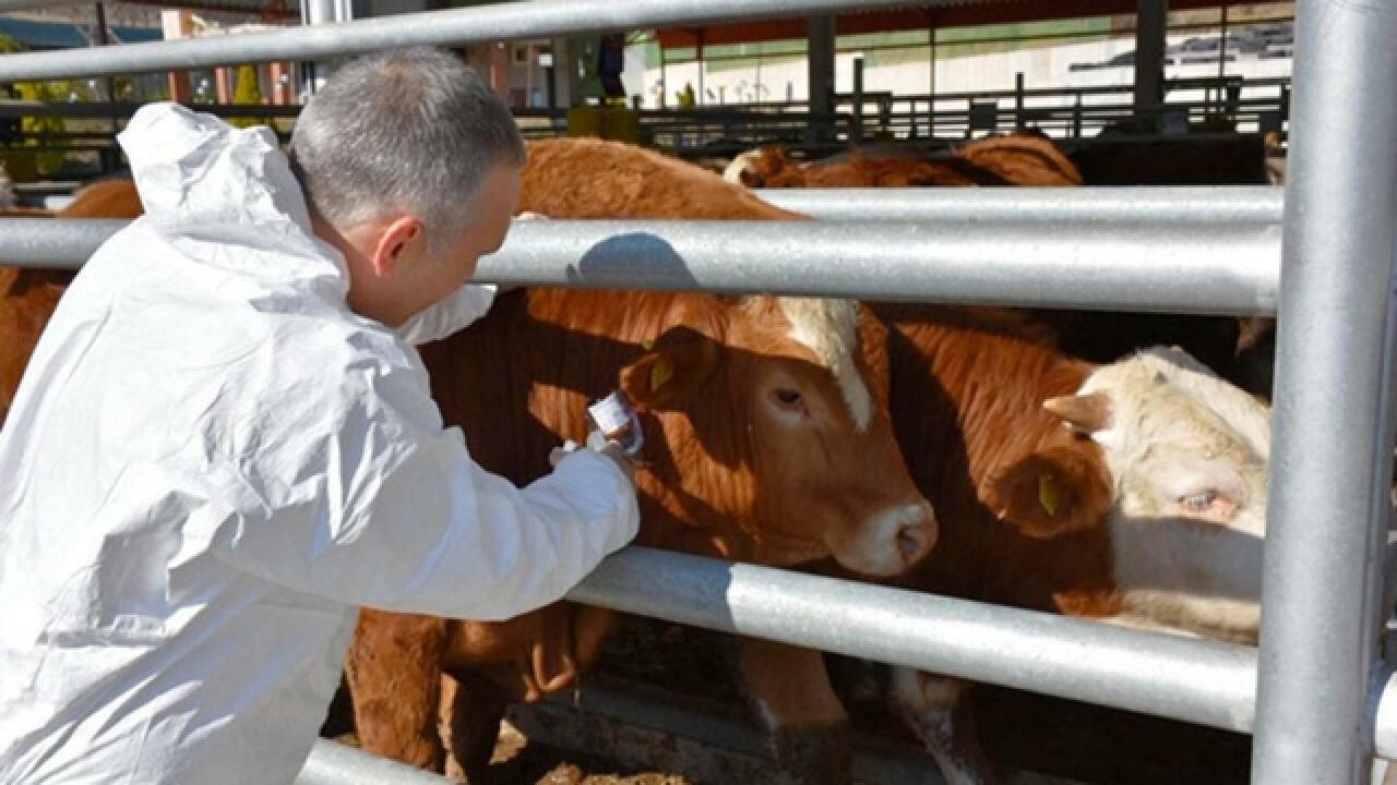 Bakan Yumaklı açıkladı: Ücret alınmadan yapılacak