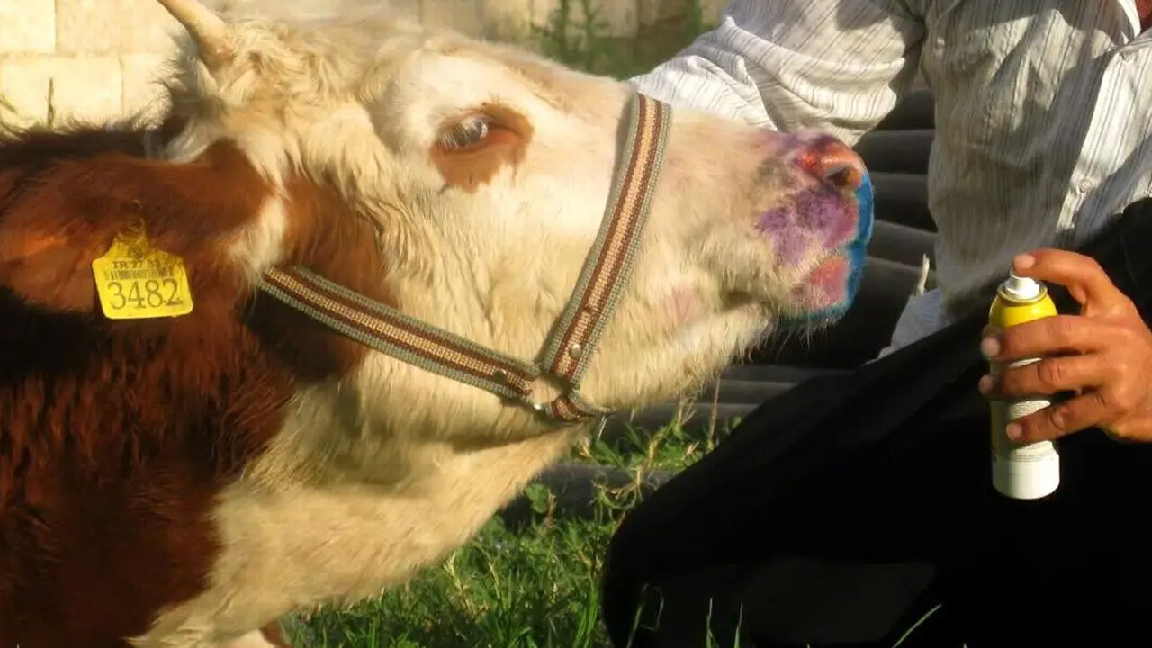 Bakan Yumaklı açıkladı: Ücret alınmadan yapılacak