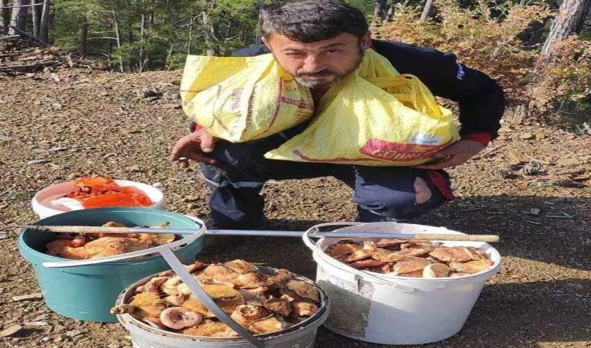 Doğadan bedavaya toplayarak köşeyi döndü! Aylık geliri tam 5 bin TL’ye yükseldi