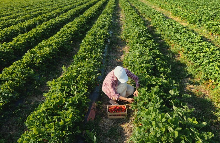 Gelir adaletsizliği tarihi zirvede! Maaş makası iyiden iyiye açıldı