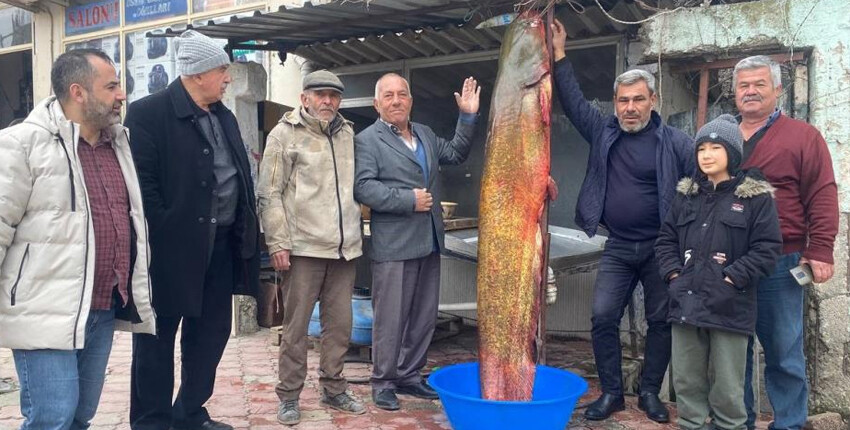 Osmaniyeli balıkçı 148 kiloluk yayın balığı yakaladı! 37 bin TL kazanacak