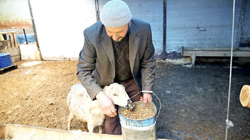 Şehirden kaçış hızlandı, orta direk göçüyor! İşte en çok tercih edilen 10 il