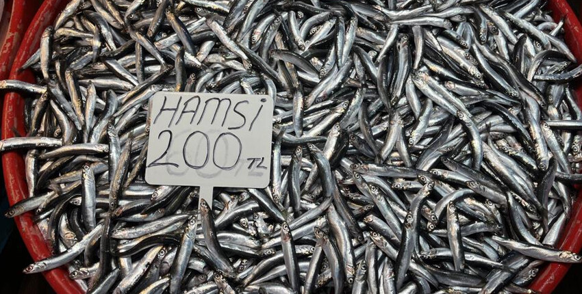Hava bozdu hamsinin fiyatı rekor kırdı