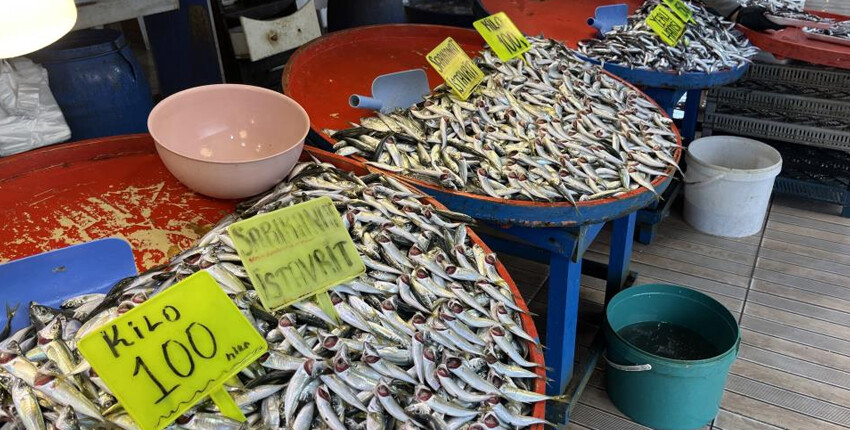 Hava bozdu hamsinin fiyatı rekor kırdı