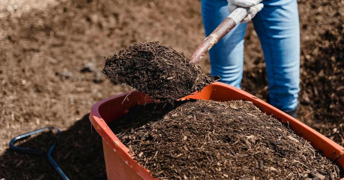 Tarladan markete gidene kadar fiyatı beşe katlandı Tarladan markete gidene kadar fiyatı beşe katlandı