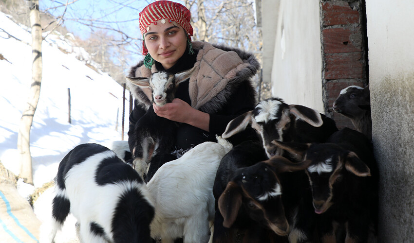 Keçiyi sırtladığı fotoğrafla gündem olmuştu! Rize’nin ‘Heidi’si: Hayalim Tarım Bakanı olmak