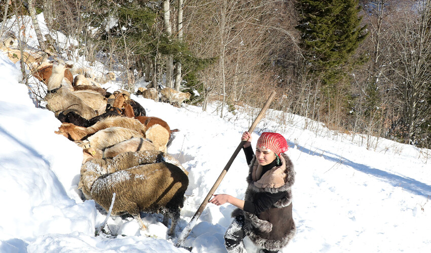 Keçiyi sırtladığı fotoğrafla gündem olmuştu! Rize’nin ‘Heidi’si: Hayalim Tarım Bakanı olmak