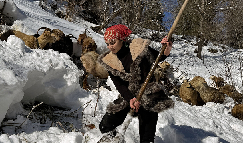 Keçiyi sırtladığı fotoğrafla gündem olmuştu! Rize’nin ‘Heidi’si: Hayalim Tarım Bakanı olmak