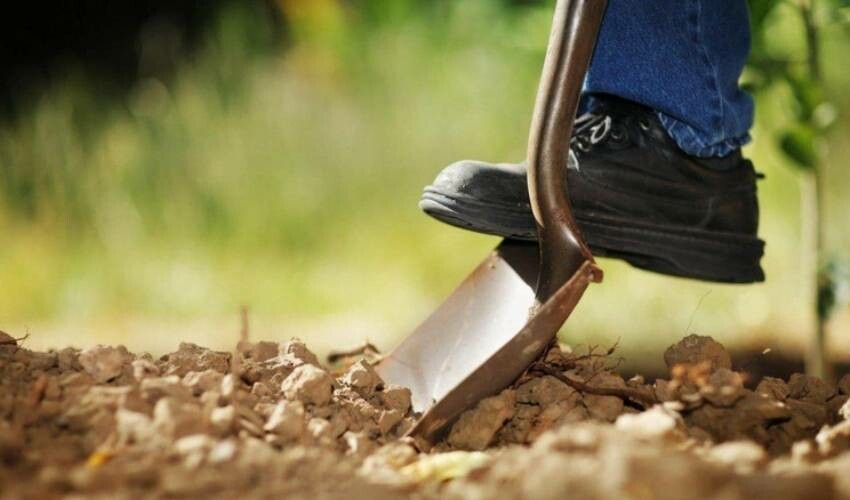 1.700 yıllık kralın mezarından çıkanları görünce korkudan ne yapacaklarını şaşırdılar! 1.700 yıllık kralın mezarından çıkanları görünce korkudan ne yapacaklarını şaşırdılar!