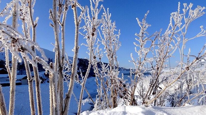 Türkiye'nin doğusu kara teslim! Bir yanda beyaz manzara, bir yanda olumsuzluklarla mücadele