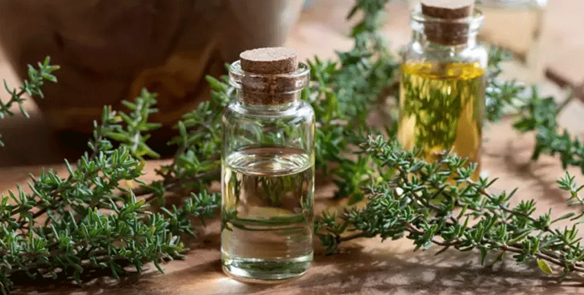 İbn-i Sina'nın 2 bin yıllık sırrı! Limon ve sarımsaktan 30 kat güçlü, öksürüğün bir numaralı düşmanı İbn-i Sina'nın 2 bin yıllık sırrı! Limon ve sarımsaktan 30 kat güçlü, öksürüğün bir numaralı düşmanı