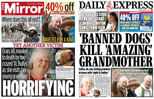 Torununu ziyaret ederken sokak köpekleri saldırdı! 68 yaşındaki kadın hayatını kaybetti