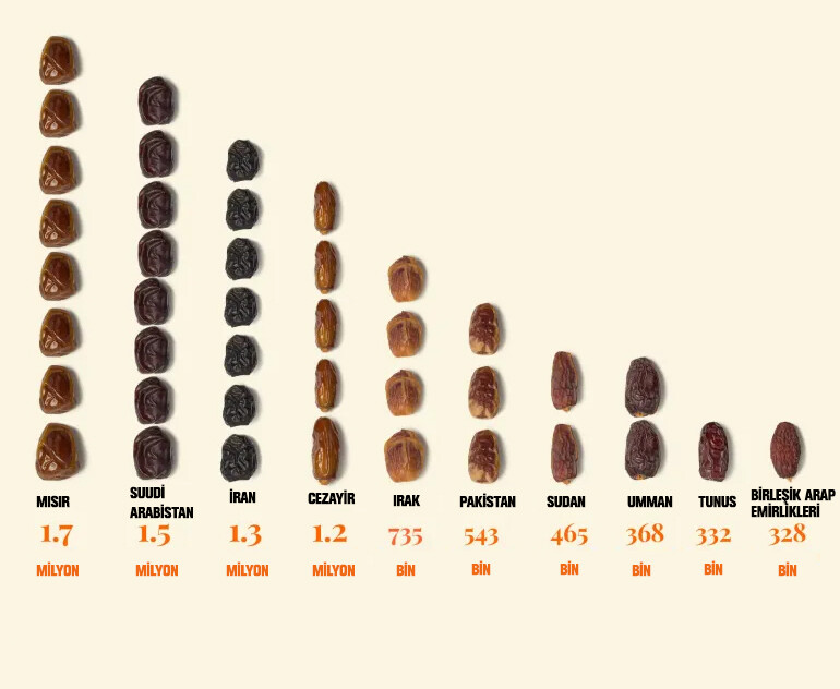En çok Medine’de yetiştiği sanılıyordu! Hurmanın kaynağı meğer başka ülkeymiş. - 3. Resim