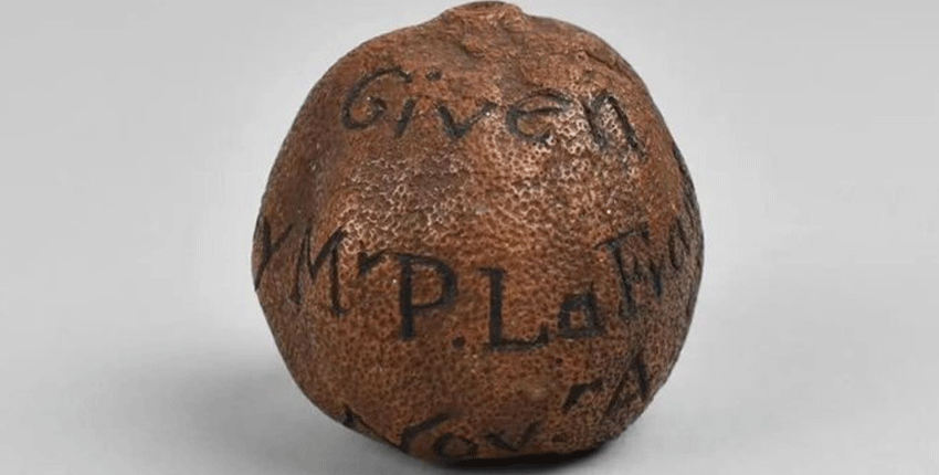 Antika dolabın içinde bulunan 285 yıllık limon açık artırmada 54 bin liraya satıldı